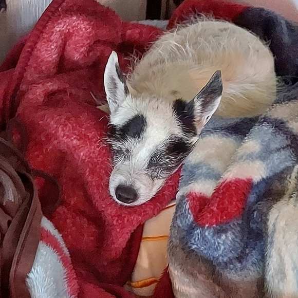 Rest In Peace - Picture 10 of 13